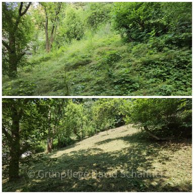 Objektpflege als Mulchmahd in einem Gewerbegebiet zum Insektenschutz