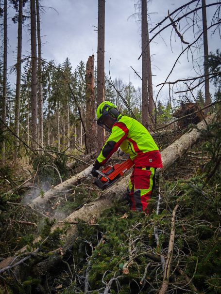 Aufarbeitung von Stammholz nach Baumfällung für unseren Kaminholzverkauf in Striegistal