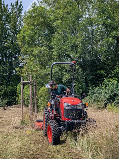 Obstbaumpflege und Obstbaumschnitt auf den Streuobstwiesen im Striegistal