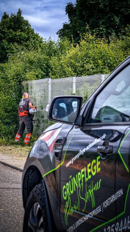 Heckenschnitt als Formschnitt in einem Betriebsgelände der Stadt Waldheim