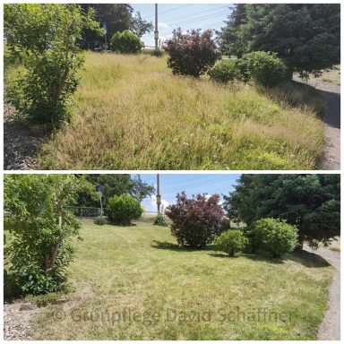 Grundstück und Objektpflege mit Mäharbeiten und Heckenschnitt für einen Immobilienservice