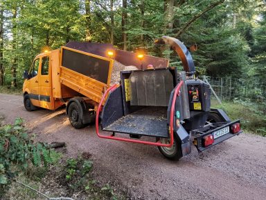 Häckselarbeiten mit unserem Holzhäcksler von Astmaterial in Striegistal