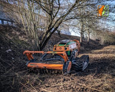 Forstmulchen von Ausgleichsflächen mit Mähraupe