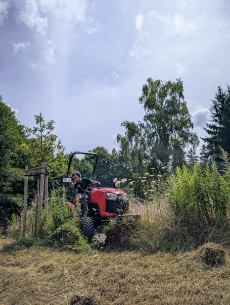 Obstbaumpflege mit Mulchmahd von Streuobstwiesen in Hainichen