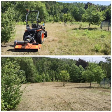 Bewässerung Lichtenau Altmittweida Erlau Geringswalde Waldheim Hartha Leisnig Döbeln Großweitzschen Ostrau Jahnatal