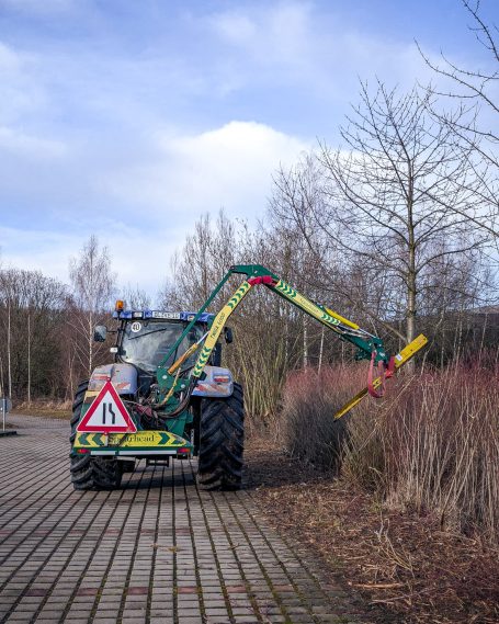 Wildhecken und Heckenformschnitt mittels Heckenschere im Gewerbegebiet Döbeln