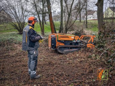 Landschaftspflege mit ferngesteuerter Mähraupe und Mulcher in Nossen