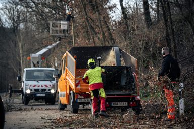 Hackschnitzel Lichtenau Altmittweida Erlau Geringswalde Waldheim Hartha Leisnig Döbeln Großweitzschen Ostrau Jahnatal