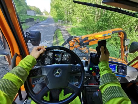 Lichtraumprofilschnitt und Totholzbeseitigung an einer Straße mit Radweg zur Verkehrssicherung in Waldheim