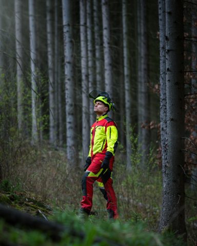 Baumfällung und Häckselarbeiten in Hainichen für eine Wohnungsgenossenschaft