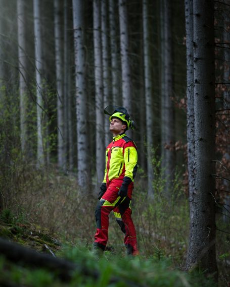 Baumfällung und Häckselarbeiten in Hainichen für eine Wohnungsgenossenschaft