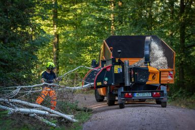 Häckselarbeiten von Astholz und Baumstämmen für die Stadt Hainichen