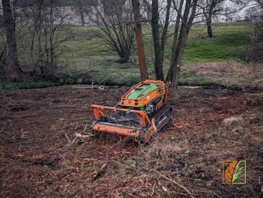 Mulcharbeiten mit einer Forstraupe und Forstmulcher in Mockritz