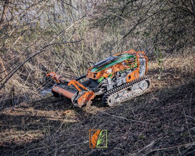 Mulchmahd von Gestrüpp mit Mulchraupe und Forstmulcher in Hainichen