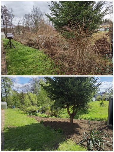 Brennholzverkauf Lichtenau Altmittweida Erlau Geringswalde Waldheim Hartha Leisnig Döbeln Großweitzschen Ostrau Jahnatal