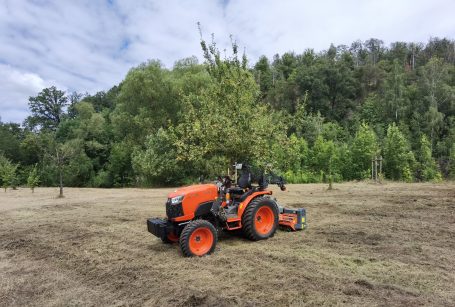 Mulcharbeiten von Streuobstwiesen mit Kleintraktor und Schlegelmulcher für die Biodiversität im Striegistal