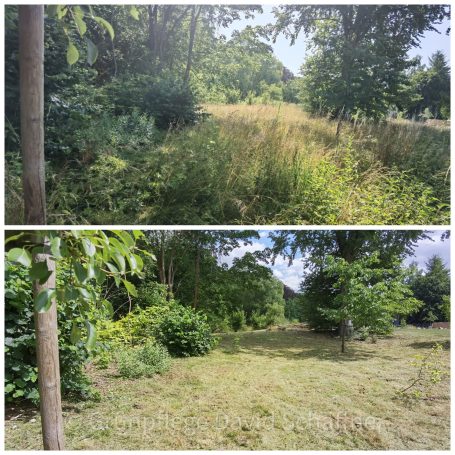 Grünanlagenpflege durch Mulchmahd von Freiflächen zum Naturschutz und Insektenschutz im Gewerbegebiet Hainichen