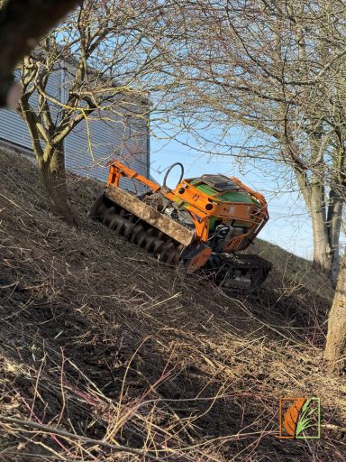 Forstmulchen von Brachflächen mit einer Mulchraupe am Steilhang in der Gemeinde Striegistal