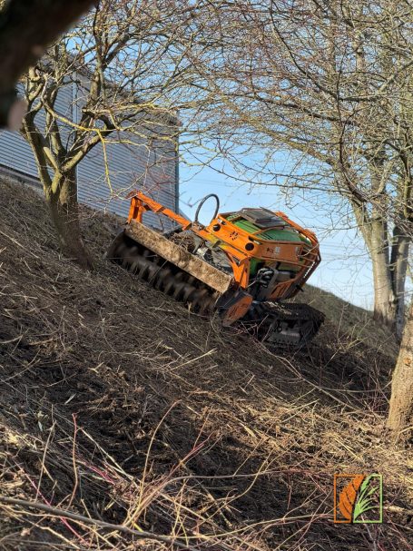 Forstmulchen von Brachflächen mit einer Mulchraupe am Steilhang in der Gemeinde Striegistal