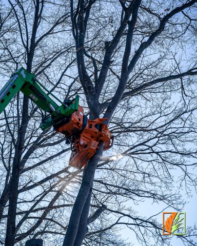 Häckslervermietung Lichtenau Altmittweida Erlau Geringswalde Waldheim Hartha Leisnig Döbeln Großweitzschen Ostrau Jahnatal