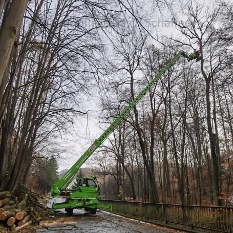 Baumfällung mit Fällkran als Spezialbaumfällung zur Verkehrssicherung in Hainichen