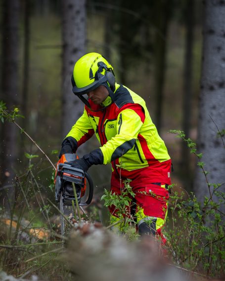 Baumfällung zur Gewinnung von Brennholz in Striegistal