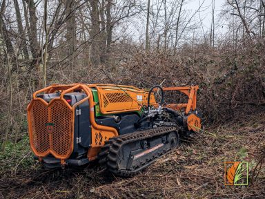 Baufeldräumung mit Mähraupe zur Rodung von Brachflächen für die Stadt Freiberg