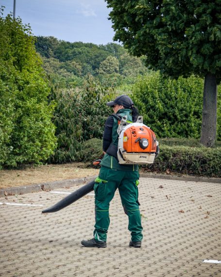 Parkanlagenpflege in Dresden am Weißen Hirsch mit Rasenmähen und Heckenschnitt